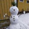 m_veselov